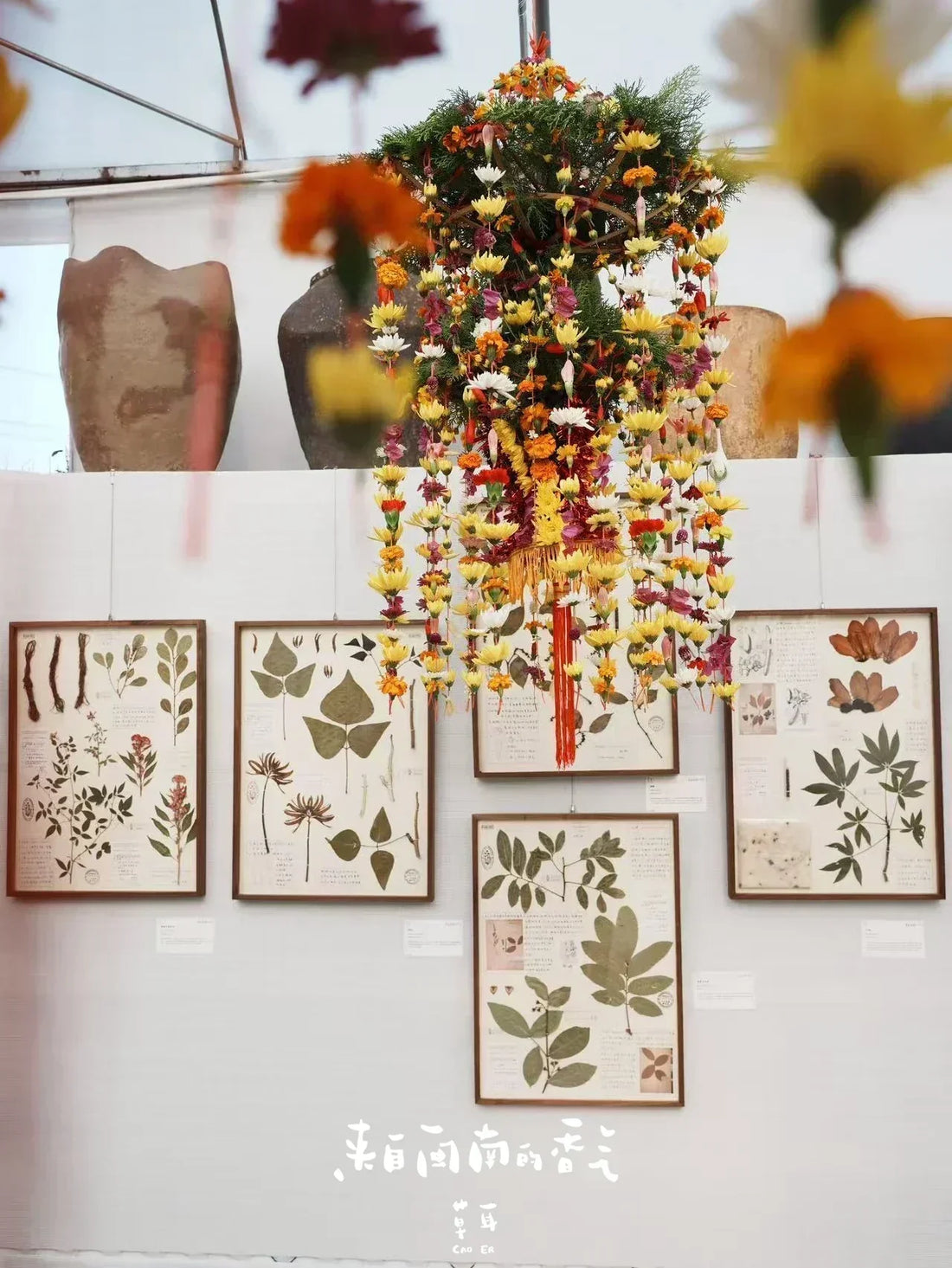 CAOER: Plant Art, Memory, and the Scent of Minnan